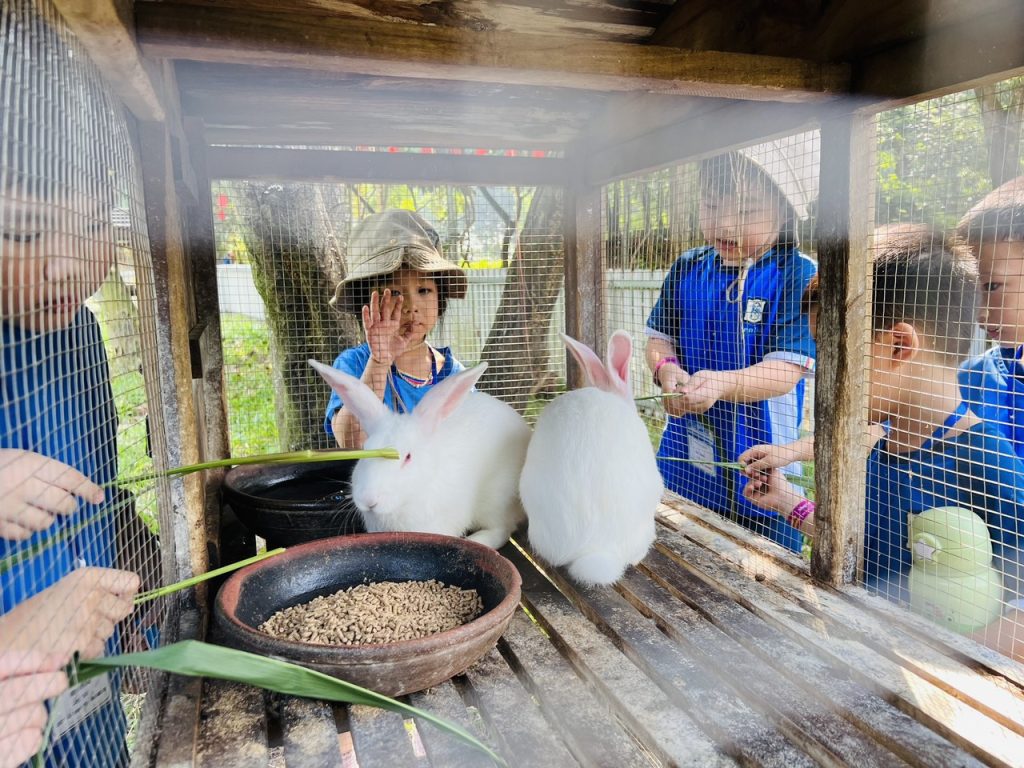 nong-trai