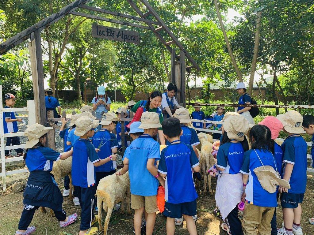 nong-trai