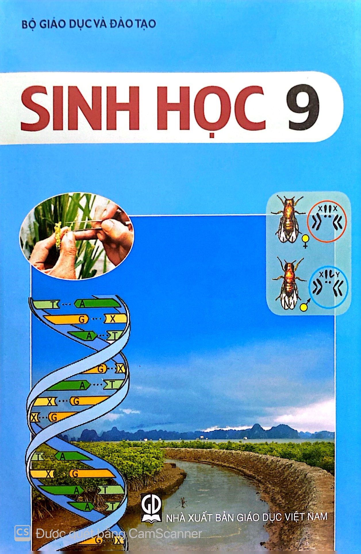 sinh-hoc